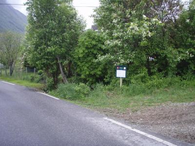 Klikk p� bilete for full storleik